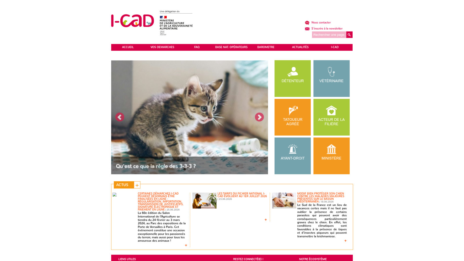 3 réflexes pour sécuriser l'identification de votre chien