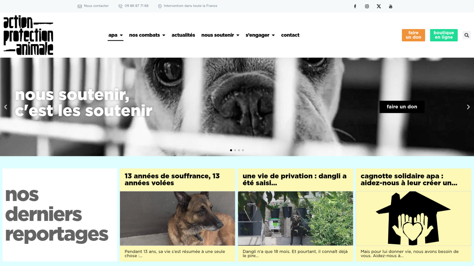3 étapes pour signaler efficacement une cruauté animale