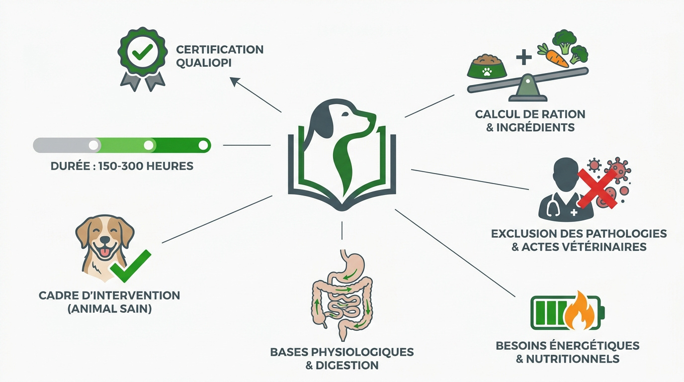 Critères de sélection pour une formation de conseiller en nutrition canine